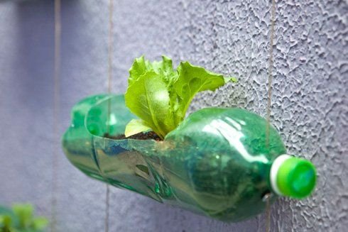 jardin vertical casero con botellas de plástico