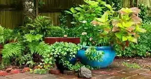 cuales son las plantas que requieren poco mantenimiento