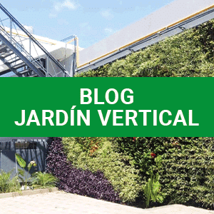 Los mejores expertos en cuanto a jardinería vertical en toda argentina